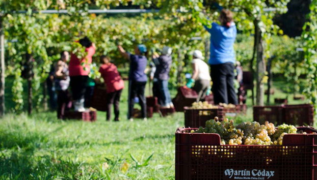 I vigneti di Martín Códax