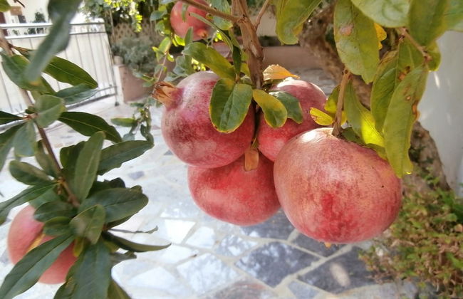 Apartments Cordis - Foto 67