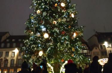 Jardin Fleuri - Foto 31