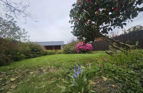 cosy cottage in snowdonia - Photo 17