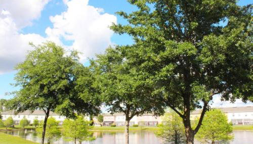 4 bedroom townhouse Sleeps 8 Coral Cay - Foto 4