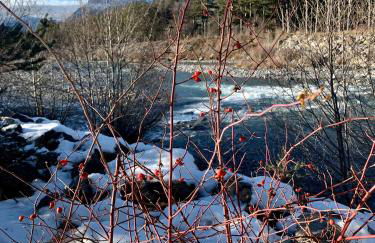 Petit chalet 40 m2 en Ubaye BARCELONNETTE - Foto 24