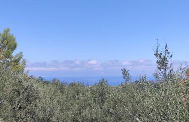 Villa degli Ulivi - Foto 19