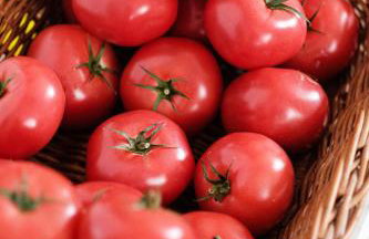 Dom Malowany - Domki - Foto 50