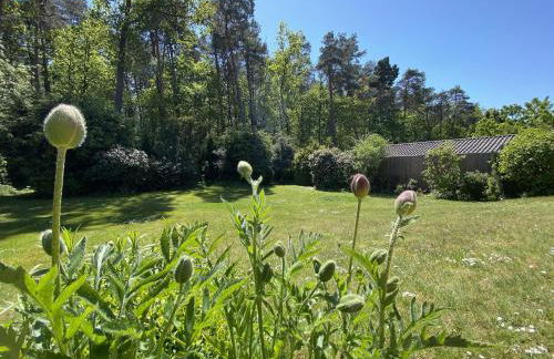 Ferienwohnung Heide-Tukkul - Photo 24