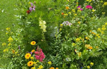 Neurenovierte Ferienwohnung Xaver - Foto 21