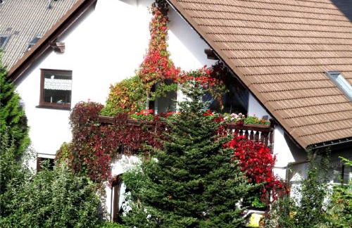 Apartment in Eibenstock 30354 - Foto 35