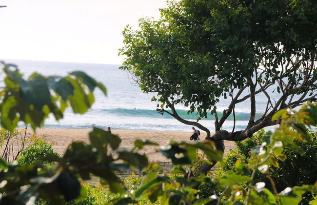 Hilltop Cabanas - Foto 45