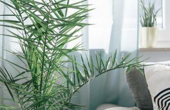 FeriendomizilaufderZollernalb - Foto 22