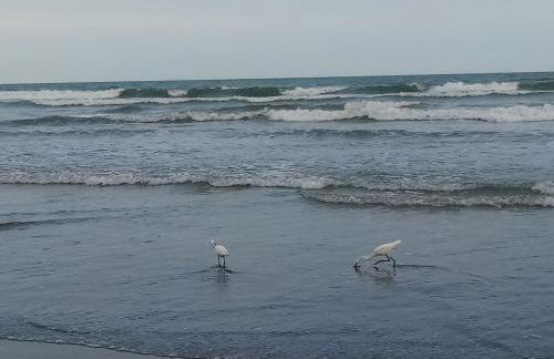 Prédio com piscina na cobertura frente ao mar,apartamento para até 6 pessoas e 3 crianças até 8 anos, churrasqueira na sacada, Wi-Fi grátis, rede de proteção, NÃO oferecemos roupas de cama e banho, 1 vaga de garagem, na Praia Grande-Vila Mirim - Foto 46