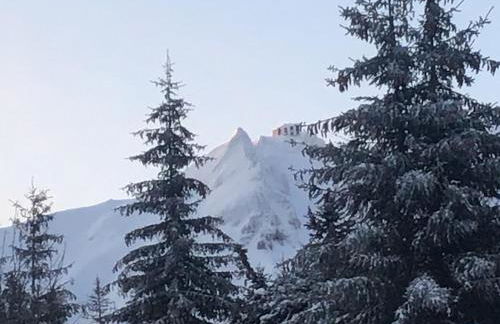 Charmant F2 bis 5 pers. au Mont-Dore avec parking, proche des pistes - FR-1-415-174 - Foto 14