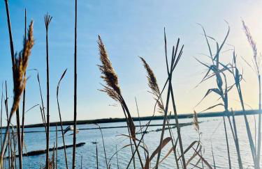 Casa Saline - Foto 1