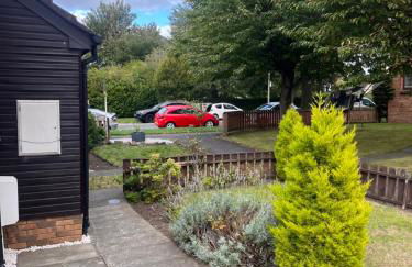 Hutchison apartments - Foto 16