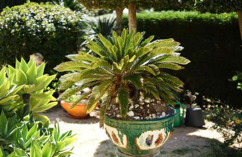 Casa Mandalin - Foto 41