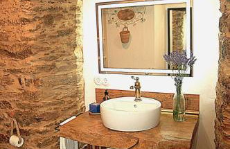 Nuevo sabor rural Ribeira Sacra - Foto 1