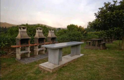 Piso Encanto Palmeiro - Foto 23