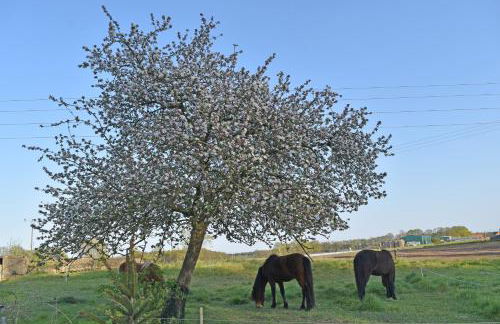 Kreativhof Lehmberg - Photo 39