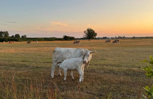 ECOVILLA - Natur pur - Foto 39