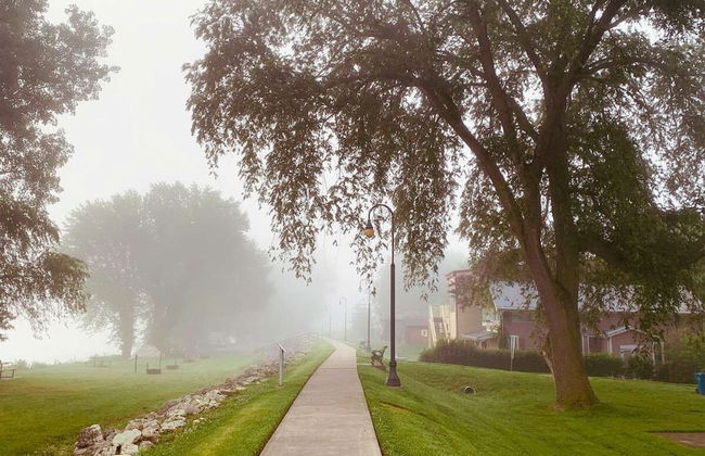 Zia New Haven - Photo 26