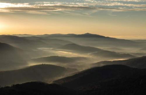 Ferienhaus mit Garten in Waldnahe - Foto 74