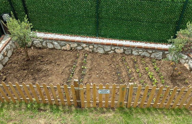 Rose Bungalov Marmaris Hisaronu - Photo 28