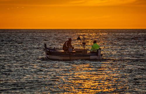 Ciuri Ciuri - Foto 57