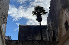 Il Giardino sulla Basilica dimora di charme - Foto 30