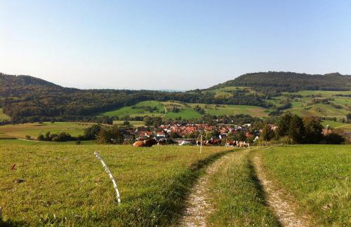 Familien-Appartement Schwarzwald bei Freiburg mit bis zu 4 Schlafzimmern - Foto 44