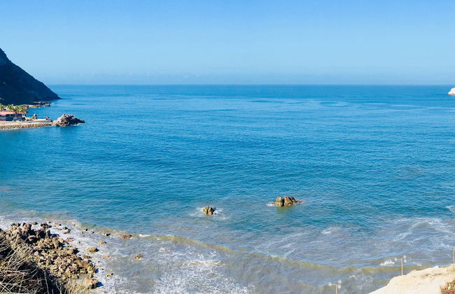 Bay of Mazatlán Speedboat Tour + Whale Museum Tickets - Foto 1