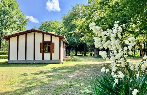 Maison en forêt, calme, proche village et piste cyclable - meublé 3 étoiles - Foto 23