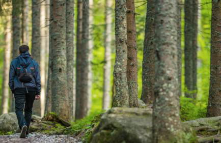 Residence Nube D'Argento - Foto 49