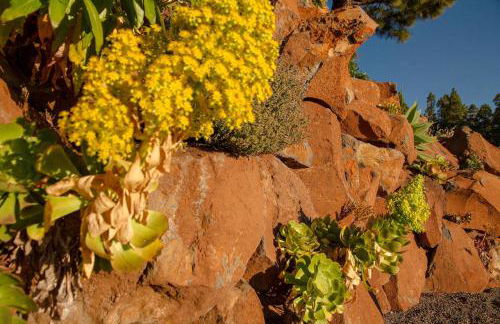 Casa Rural El Refugio - Foto 14