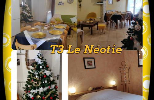 Location MarjoRI - T3 Le Kakariki - Foto 3