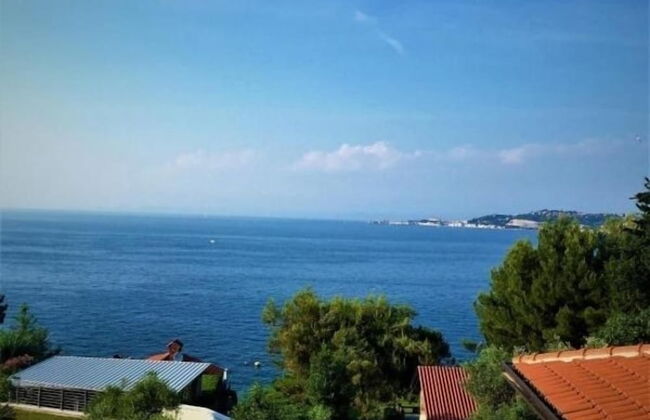 Apartments Delfin Villa Sofia - Foto 47