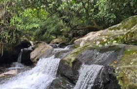 Natureza Loft - Foto 38