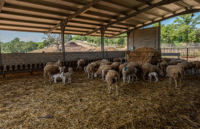 2 bedroom House in Cinigiano with private pool and garden - Photo 43