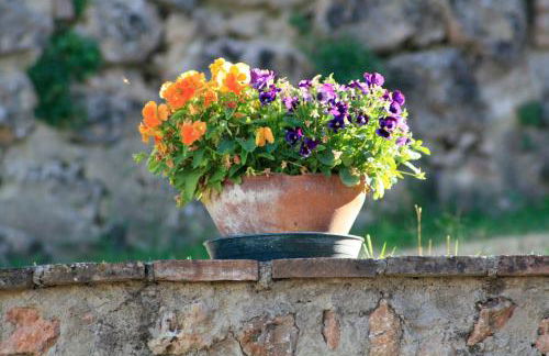 Agriturismo Il Caggio - Foto 15