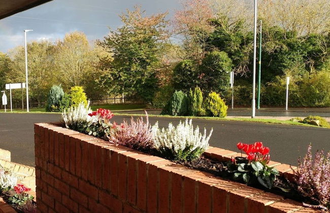 Swan Studios - Foto 34