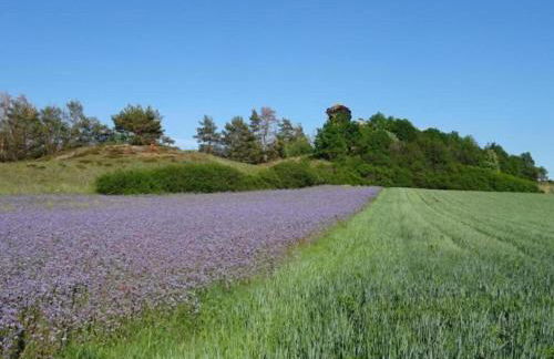 Nature Escape in Meisdorf - Foto 72