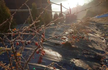 Stodoła Nad Skawą - Foto 67