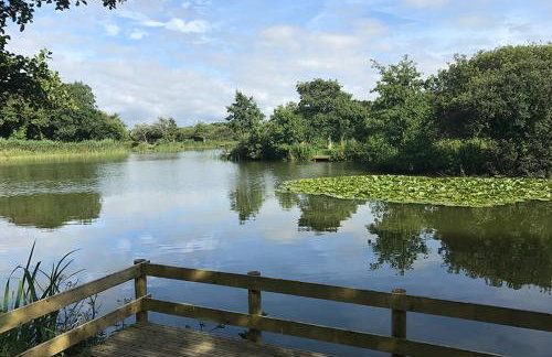 Cornish Crantock Holiday Sandy Toes - Foto 51