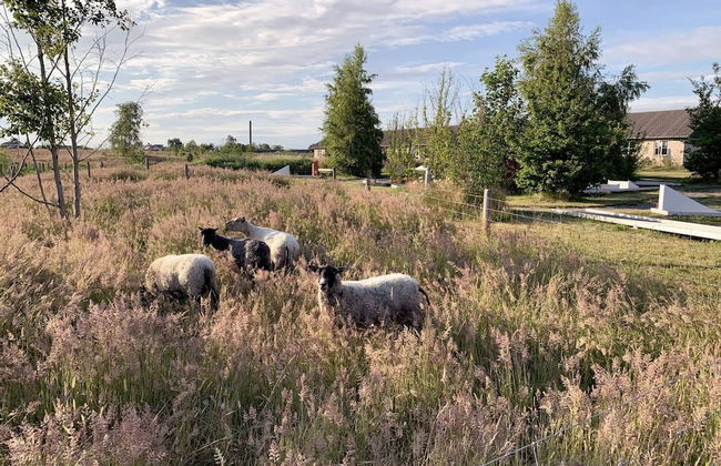 4 Person Holiday Home in Ronne - Photo 21