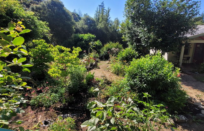 Van Zandt's Redwood View Resort - Foto 33