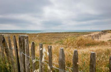 La petite maison avec palmier - Foto 22