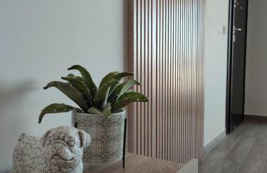 VagiaNa apartment Διαμέρισμα κοντά στο αεροδρόμιο - Foto 38