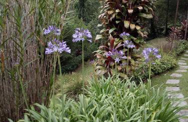 JARDIM REAL - Chalés para casais - Foto 52