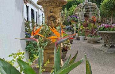 Palm Grove Apartments - Foto 77