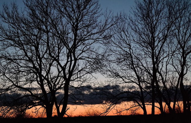 Luxuriose Ferienwohnung in Boddin mit Garten - Foto 28