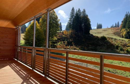 Ferienwohnung Feldberg Schwarzwald - Foto 38