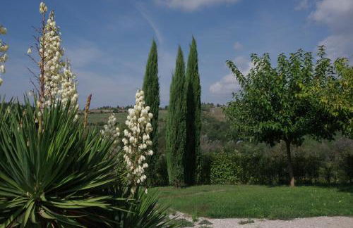 Il Gufo del Chianti - Foto 33